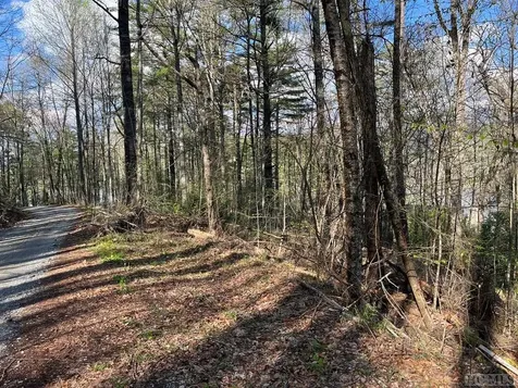 Lot 13 S Woods Mountain Trail Cullowhee NC 28723