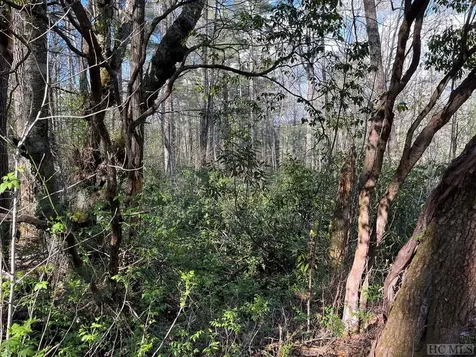 Lot 13 S Woods Mountain Trail Cullowhee NC 28723