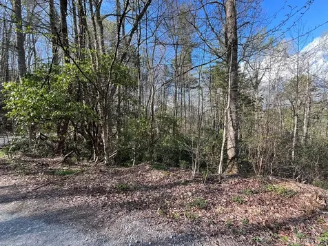 Lot 13 S Woods Mountain Trail Cullowhee NC 28723