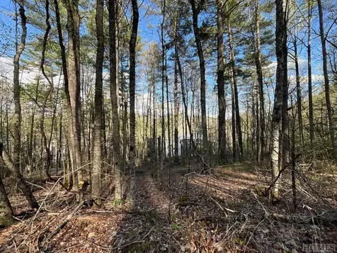 Lot 13 S Woods Mountain Trail Cullowhee NC 28723
