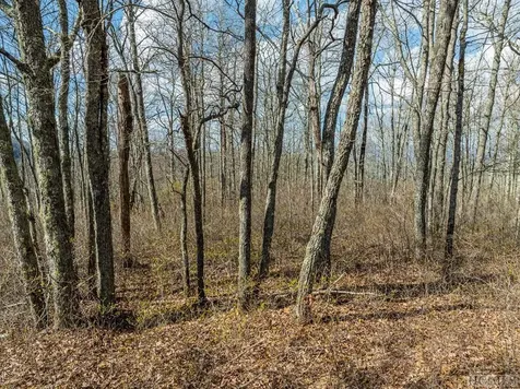 Lot 13 Treeline Pass Glenville NC 28736