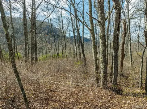 Lot 13 Treeline Pass Glenville NC 28736