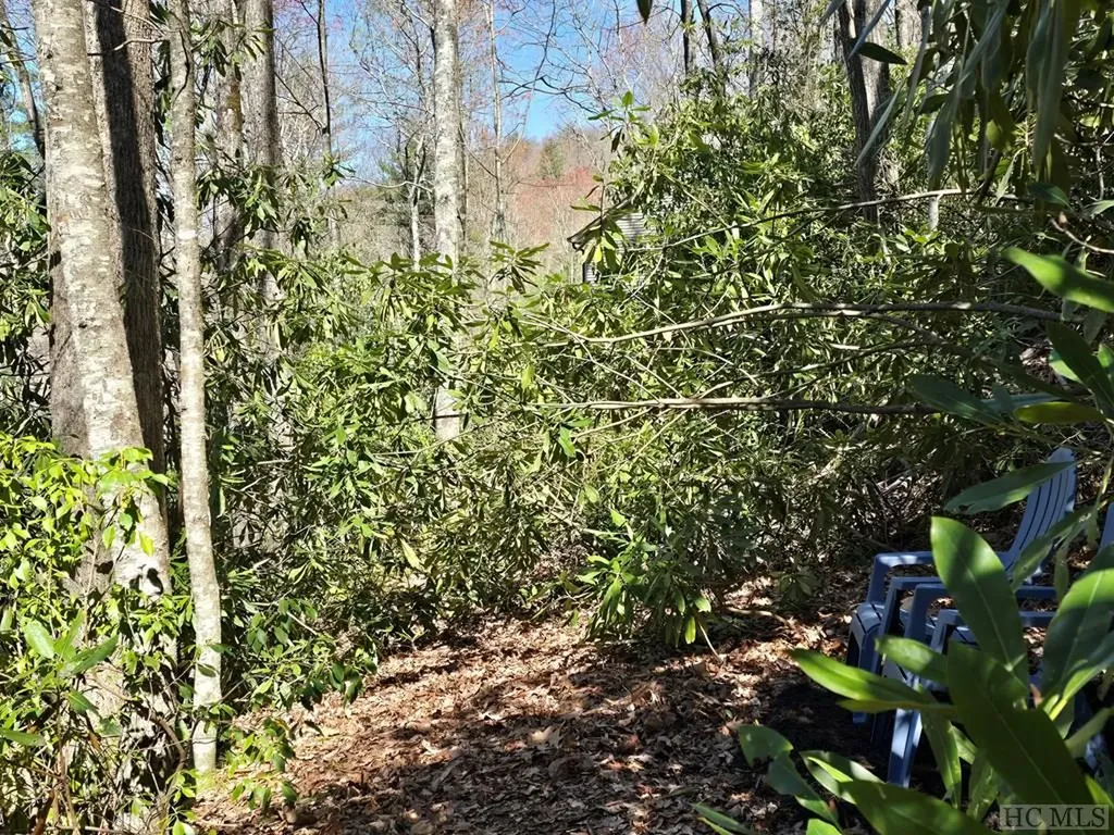 Lot 96 Black Oak Drive Sapphire NC 28774