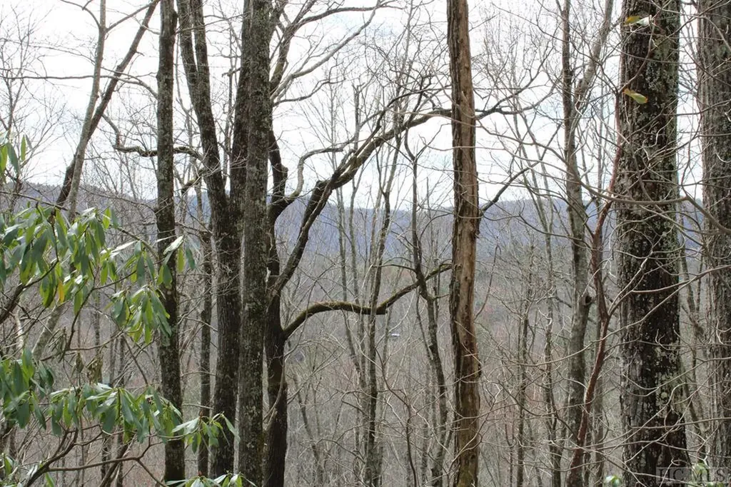 Lot 96 Black Oak Drive Sapphire NC 28774