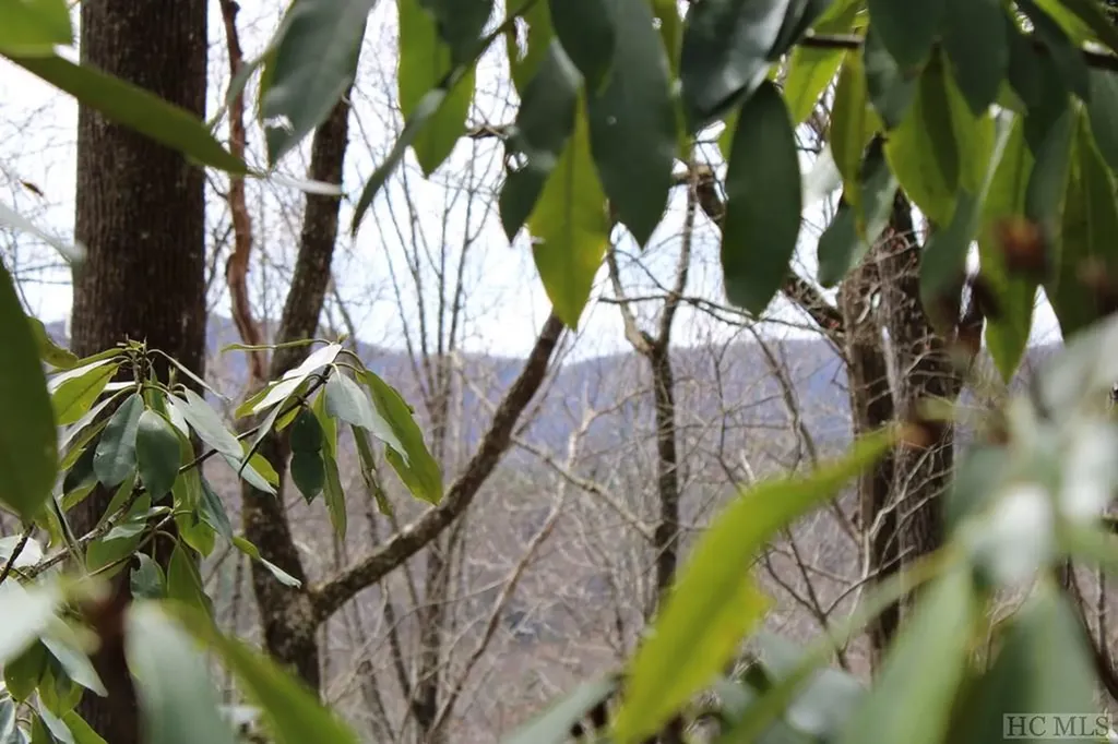 Lot 96 Black Oak Drive Sapphire NC 28774