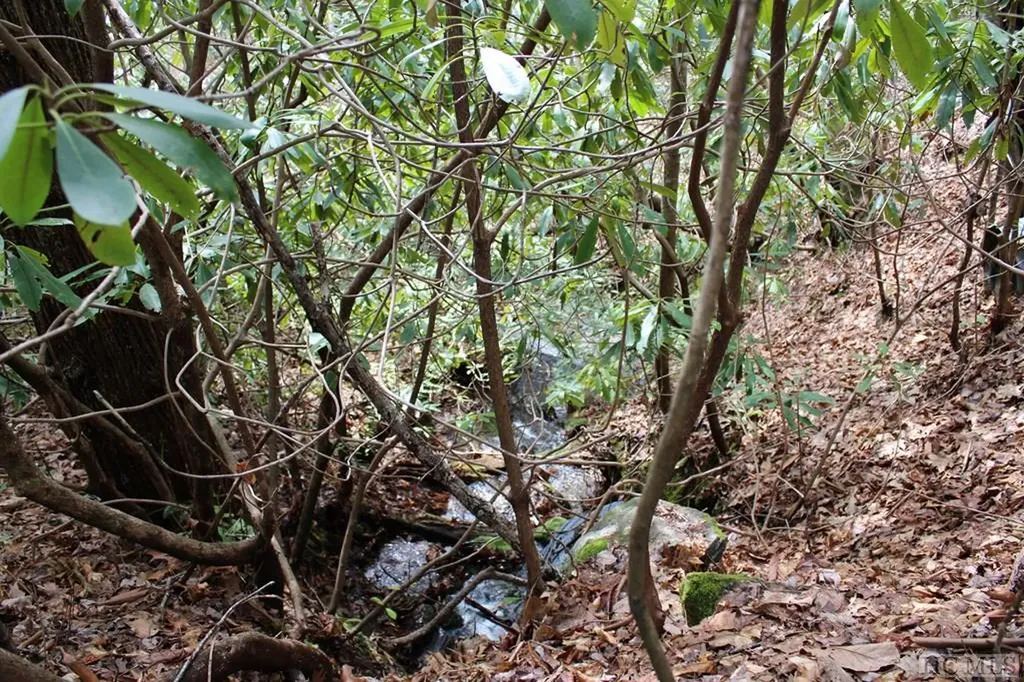 Lot 96 Black Oak Drive Sapphire NC 28774