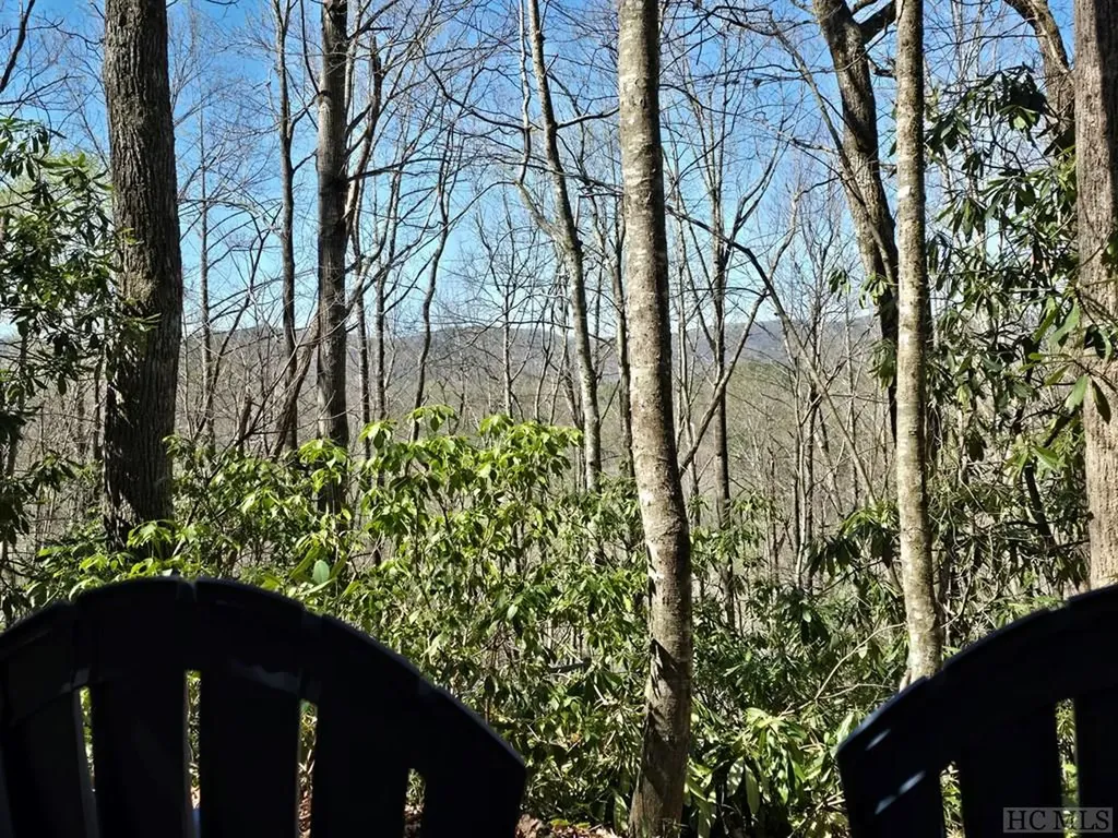 Lot 96 Black Oak Drive Sapphire NC 28774