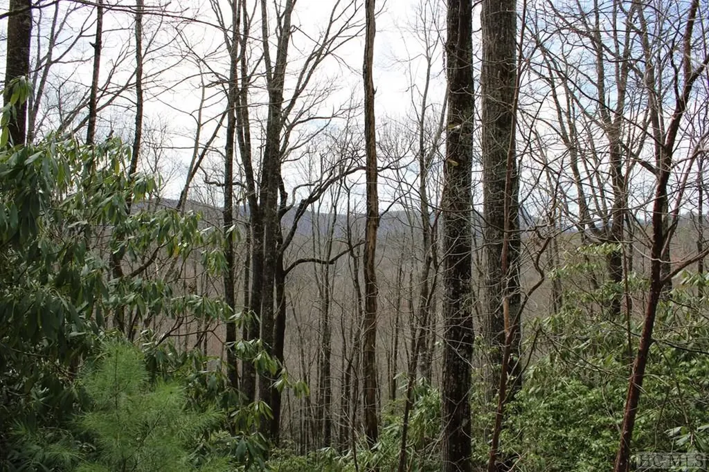 Lot 96 Black Oak Drive Sapphire NC 28774