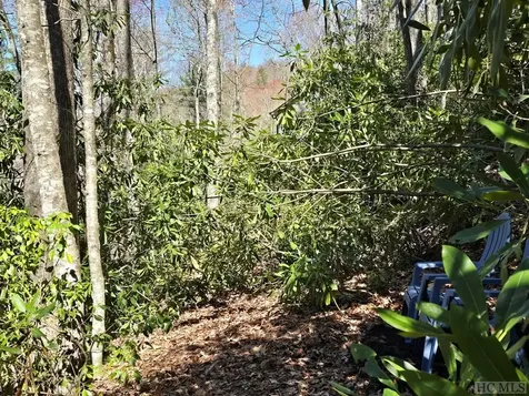 Lot 96 Black Oak Drive Sapphire NC 28774