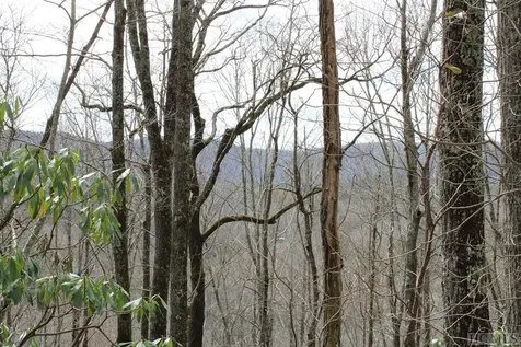 Lot 96 Black Oak Drive Sapphire NC 28774