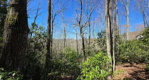 Lot 96 Black Oak Drive Sapphire NC 28774