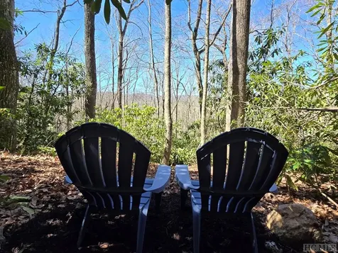 Lot 96 Black Oak Drive Sapphire NC 28774