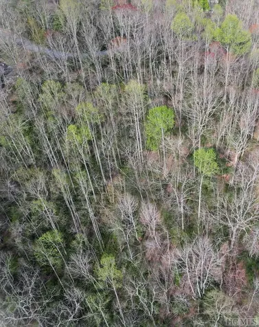 Lot 96 Black Oak Drive Sapphire NC 28774