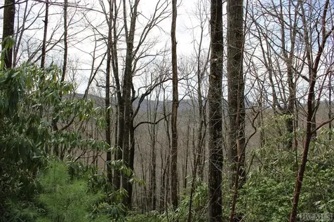 Lot 96 Black Oak Drive Sapphire NC 28774