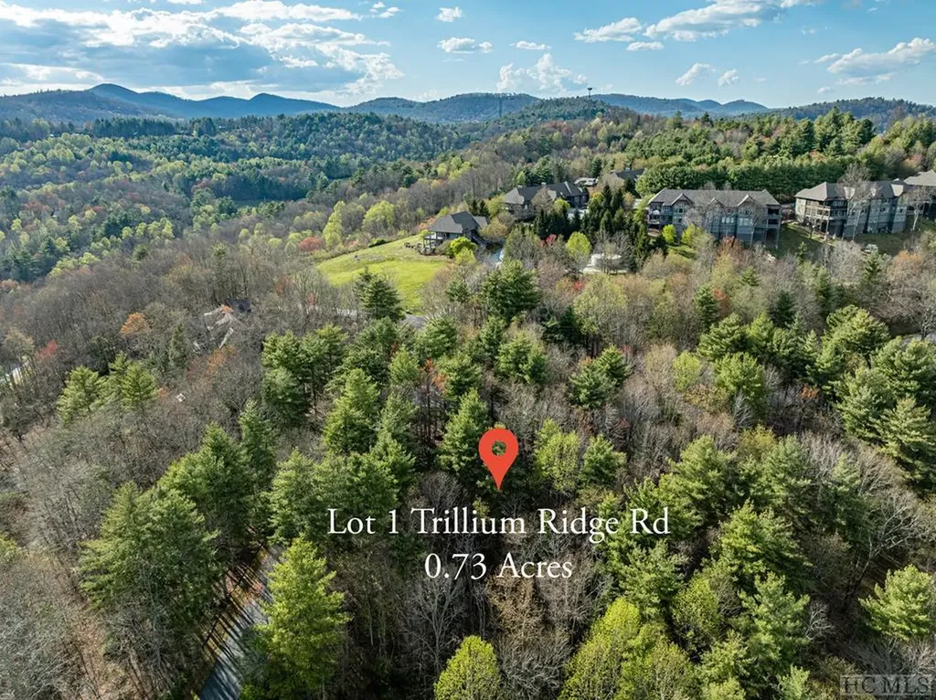 Lot 1 Center Ridge Road Cullowhee NC 28723