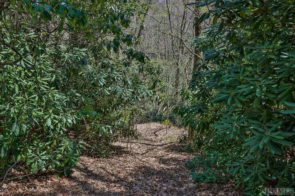 Lot 34 Streamside Lane Highlands NC 28741