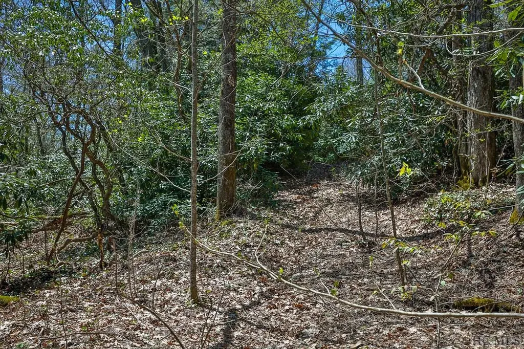 Lot 34 Streamside Lane Highlands NC 28741