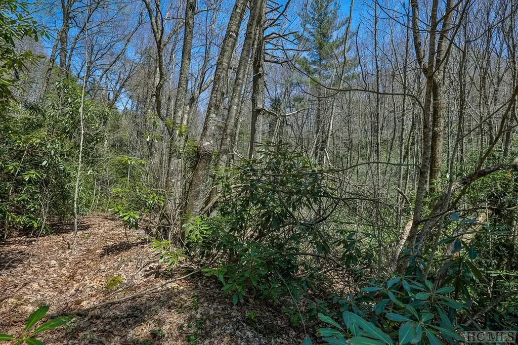 Lot 34 Streamside Lane Highlands NC 28741