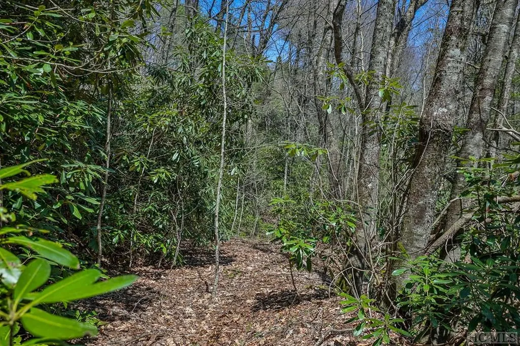 Lot 34 Streamside Lane Highlands NC 28741