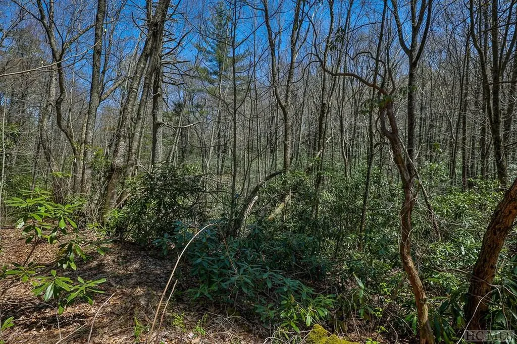 Lot 34 Streamside Lane Highlands NC 28741