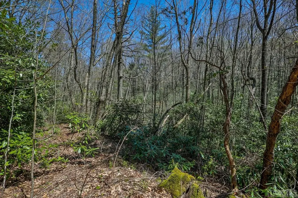Lot 34 Streamside Lane Highlands NC 28741