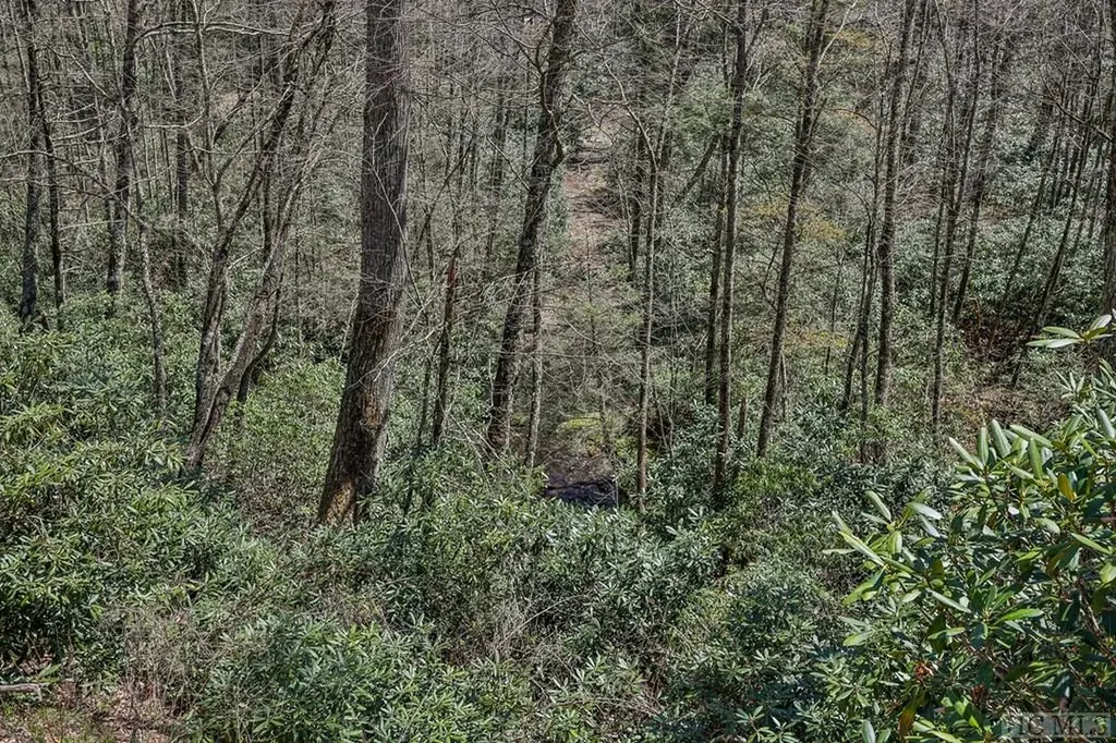 Lot 34 Streamside Lane Highlands NC 28741