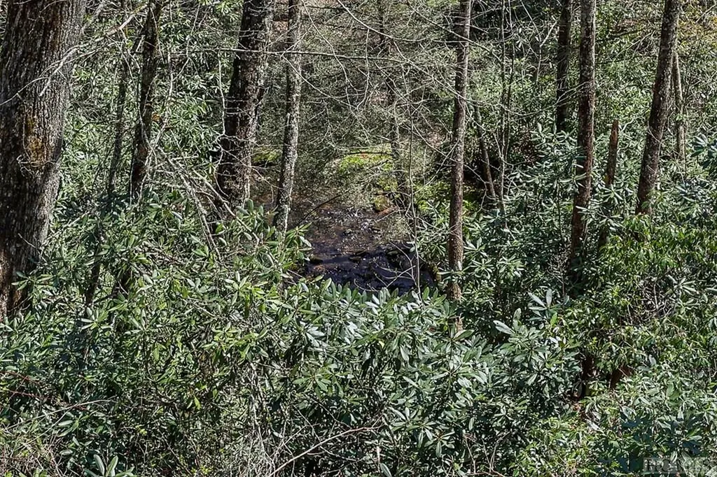 Lot 34 Streamside Lane Highlands NC 28741