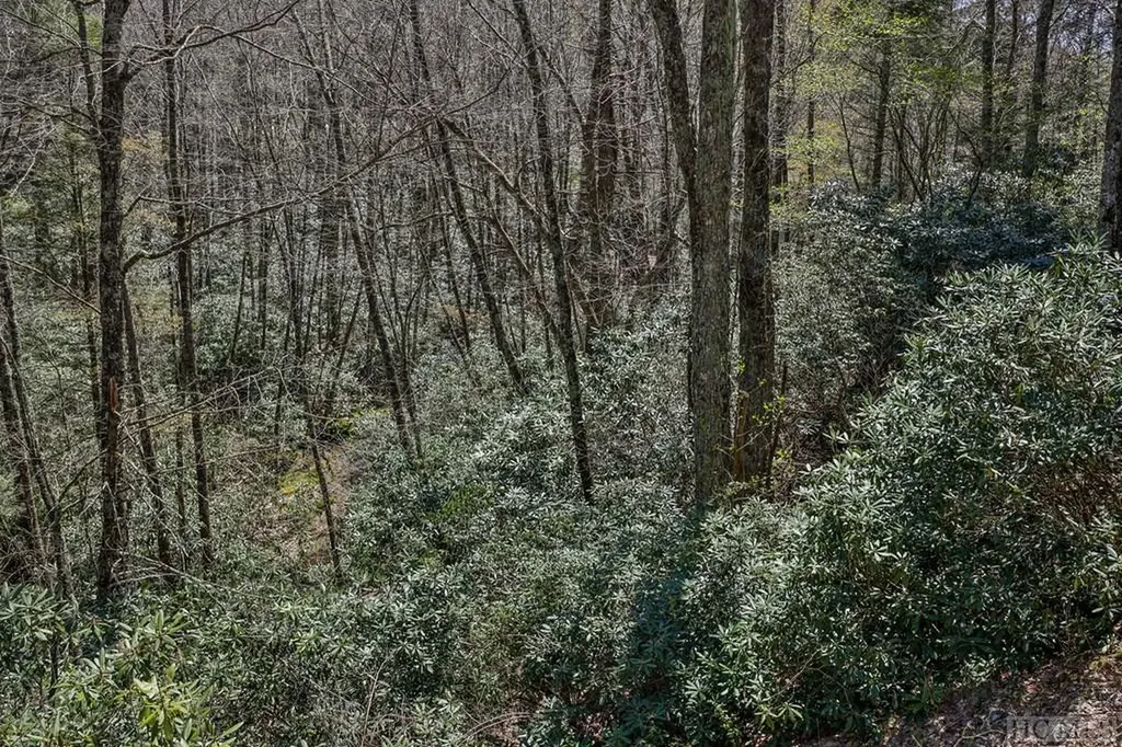 Lot 34 Streamside Lane Highlands NC 28741