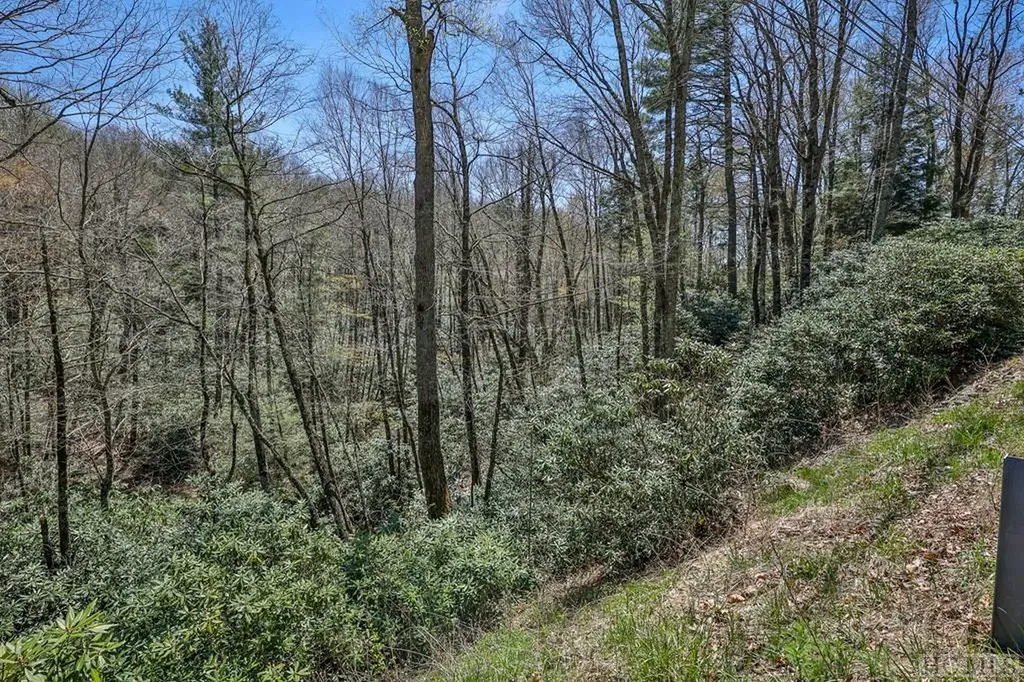 Lot 34 Streamside Lane Highlands NC 28741
