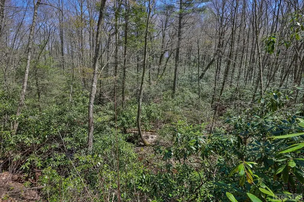 Lot 34 Streamside Lane Highlands NC 28741
