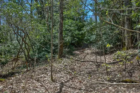 Lot 34 Streamside Lane Highlands NC 28741