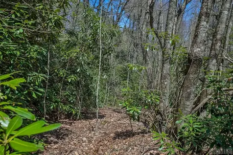 Lot 34 Streamside Lane Highlands NC 28741