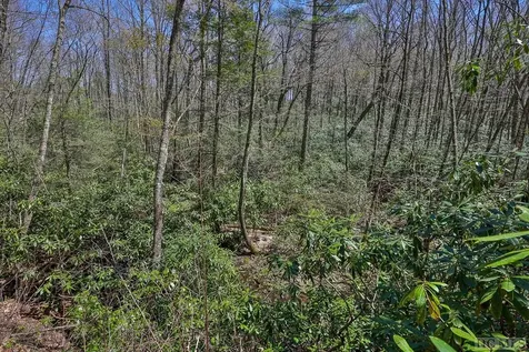 Lot 34 Streamside Lane Highlands NC 28741