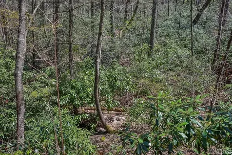 Lot 34 Streamside Lane Highlands NC 28741