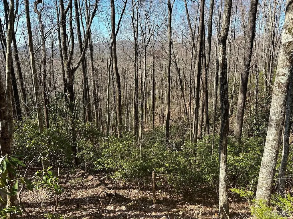 Lot 122 Black Oak Drive Sapphire NC 28774