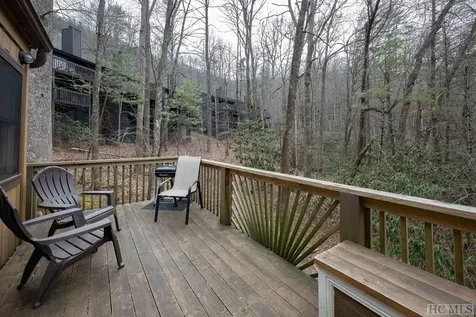 352 Wild Game Trail Sapphire NC 28774