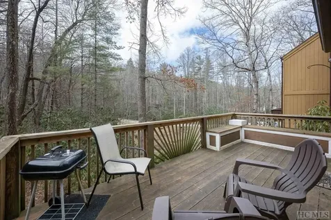 352 Wild Game Trail Sapphire NC 28774