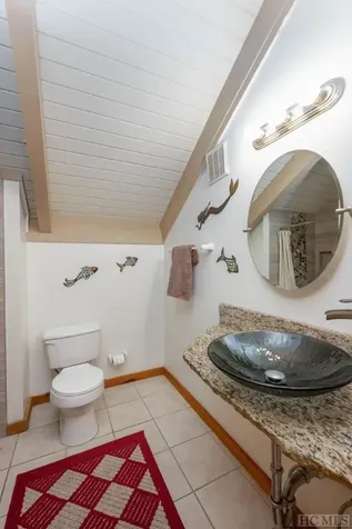 352 Wild Game Trail Sapphire NC 28774