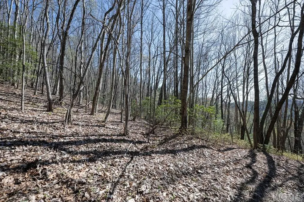 Lot 8 Meadow Crest Drive Cashiers NC 28717