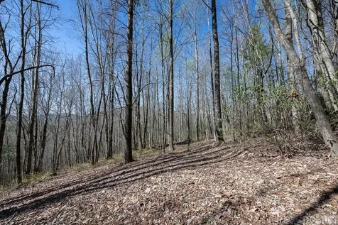Lot 8 Meadow Crest Drive Cashiers NC 28717