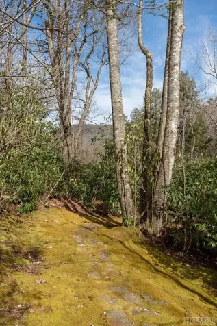 67 Fallen Leaf Lane Highlands NC 28741
