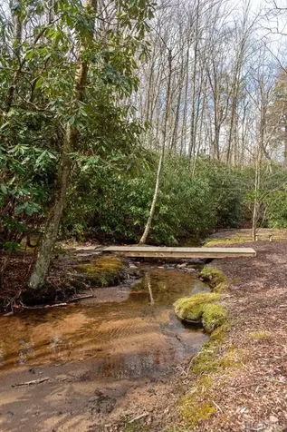 67 Fallen Leaf Lane Highlands NC 28741