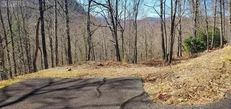 Lot 3 Ridgemont Road Glenville NC 28736