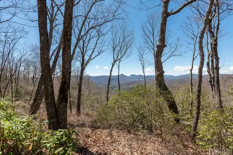 Lot 1 Trussing Terrace Sapphire NC 28774