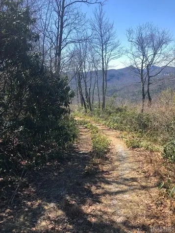 Lot 1 Trussing Terrace Sapphire NC 28774