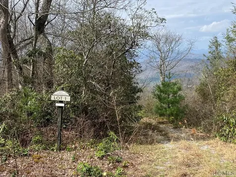 Lot 1 Trussing Terrace Sapphire NC 28774