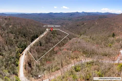 Lot 1 Trussing Terrace Sapphire NC 28774