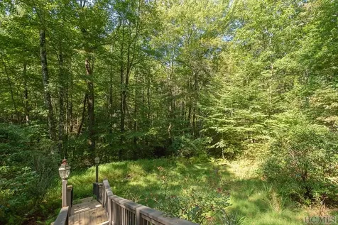 62 Black Gum Court Sapphire NC 28774