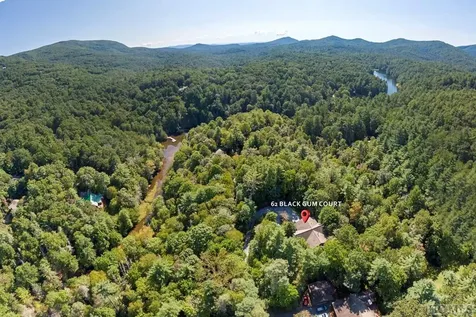 62 Black Gum Court Sapphire NC 28774