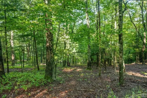 354 Windemere Drive Sapphire NC 28774